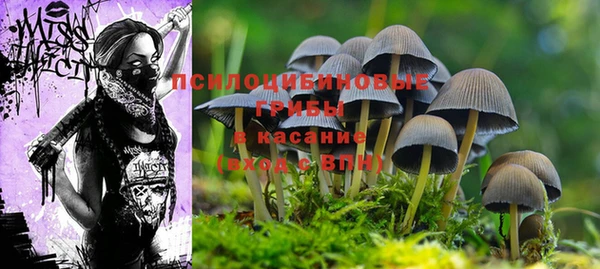 каннабис Баксан