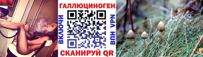 Галлюциногенные грибы мухоморы  Онега 