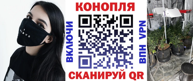 купить наркотики сайты  Онега  дарк нет состав  Конопля индика 